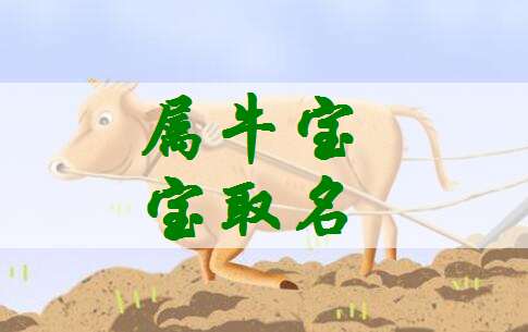 屬牛姓張寶寶起名大全