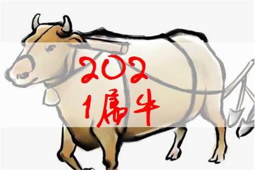 屬牛姓閻寶寶起名大全