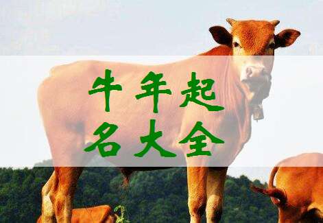 屬牛姓李寶寶起名大全