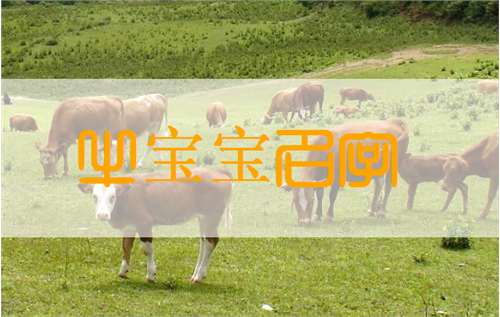 屬牛寶寶起名大全