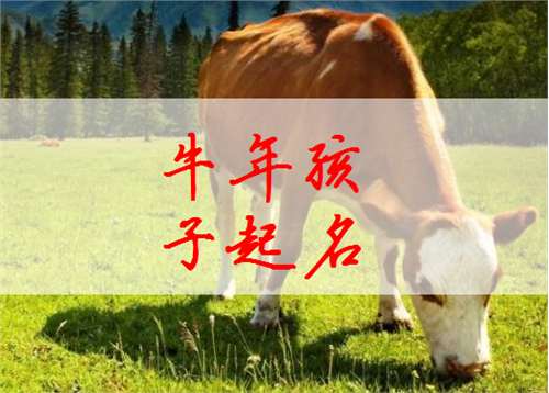 屬牛侯姓寶寶起名大全