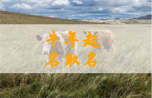 屬牛唐姓寶寶起名大全