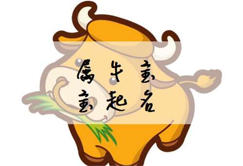 屬牛寶寶起名大全