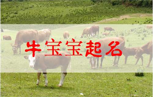 屬牛朱姓寶寶起名大全