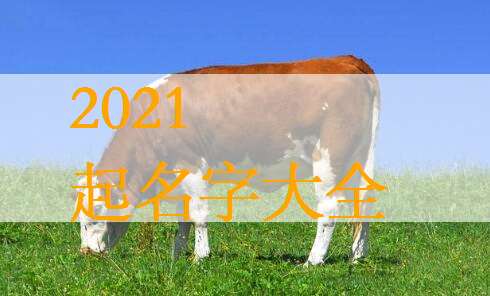 屬牛姓周寶寶起名大全