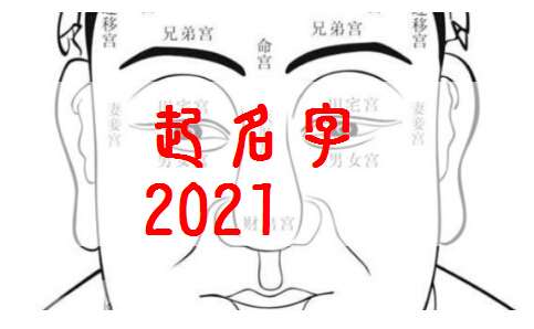 屬牛姓陸寶寶起名大全