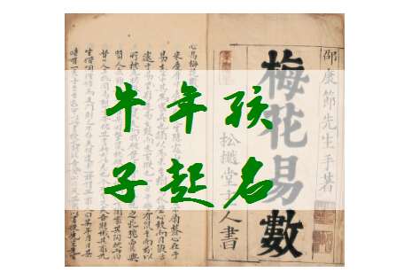 屬牛姓孟寶寶起名大全