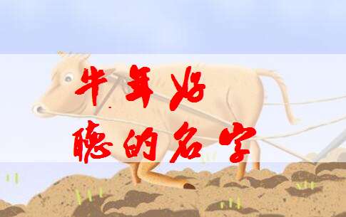 屬牛施姓寶寶起名大全