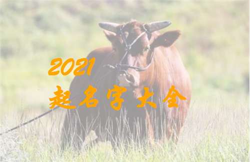 屬牛寶寶起名大全