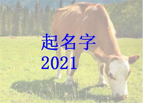 屬牛姓殷寶寶起名大全