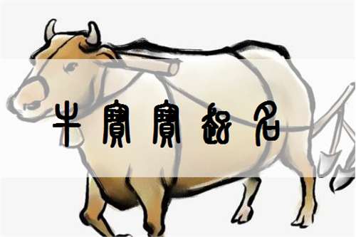 屬牛姓龐寶寶起名大全