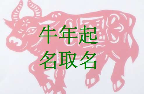 屬牛寶寶起名大全