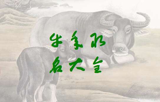 ţՌȫ