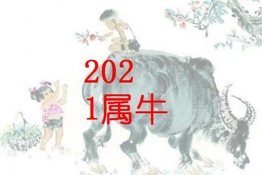 屬牛姓杜寶寶起名大全