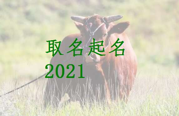 屬牛姓邱寶寶起名大全