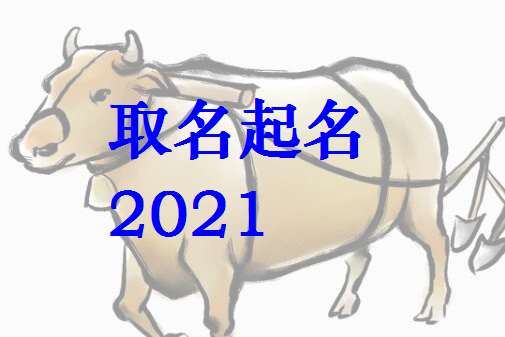 屬牛姓賴寶寶起名大全