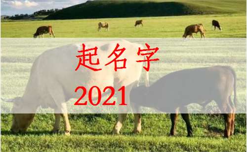 屬牛丁姓寶寶起名大全