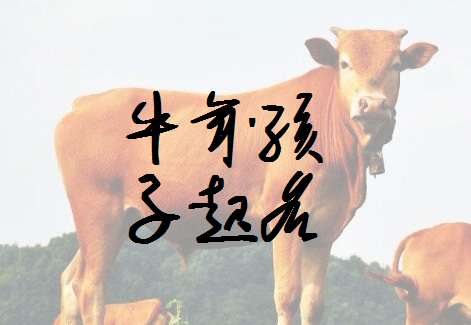 屬牛莫姓寶寶起名大全