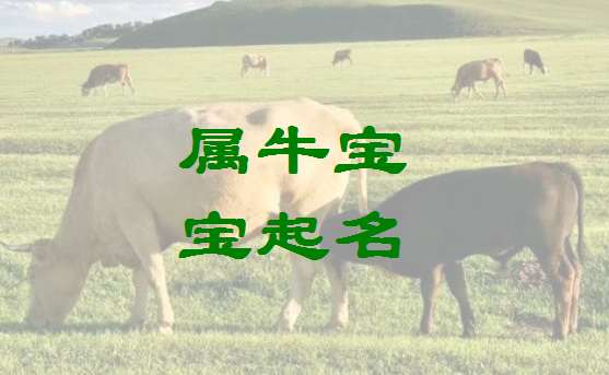 屬牛聶姓寶寶起名大全