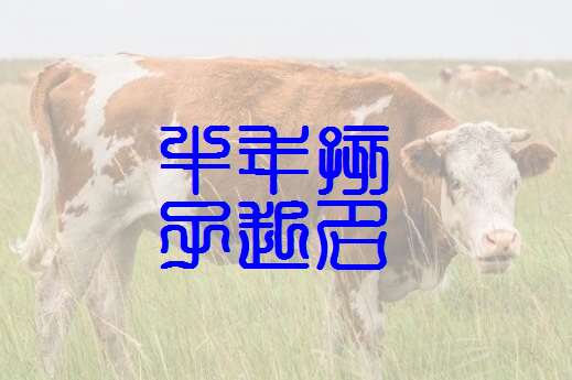 屬牛雷姓寶寶起名大全