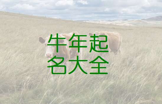 屬牛邵姓寶寶起名大全