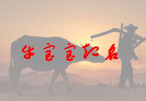 屬牛李姓寶寶起名大全