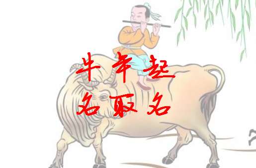 屬牛寶寶起名大全
