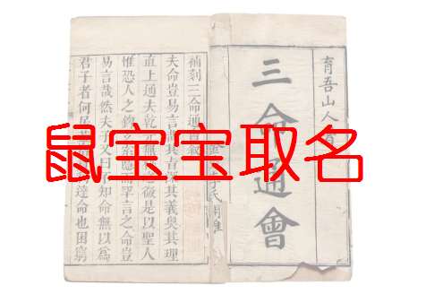 屬鼠姓韋寶寶起名大全