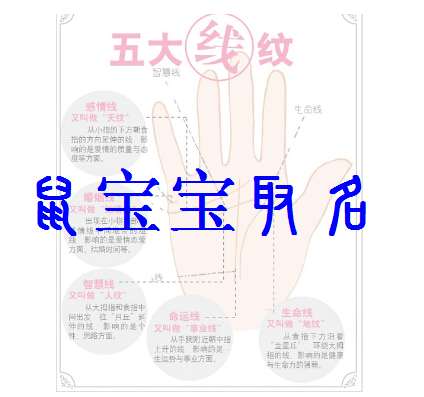 屬鼠寶寶起名大全