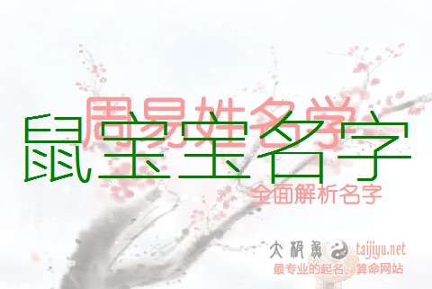 屬鼠錢姓寶寶起名大全