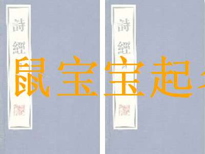 屬鼠姓沈寶寶起名大全
