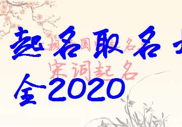 屬鼠毛姓寶寶起名大全