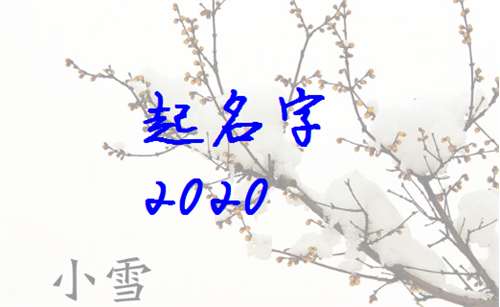 屬鼠姓何寶寶起名大全