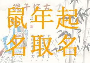 屬鼠寶寶起名大全