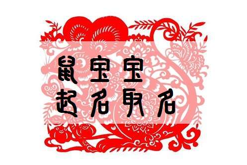 屬鼠夏姓寶寶起名大全