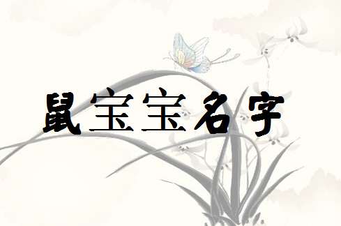屬鼠馬姓寶寶起名大全