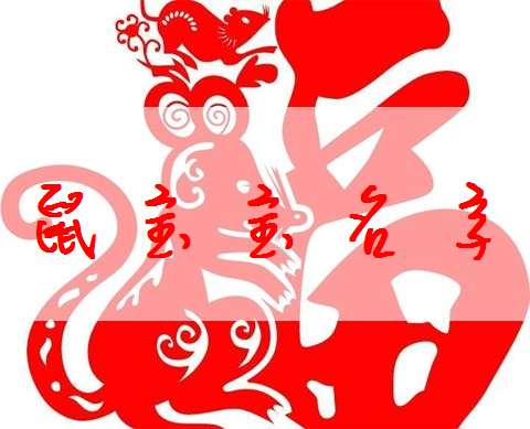 屬鼠寶寶起名大全