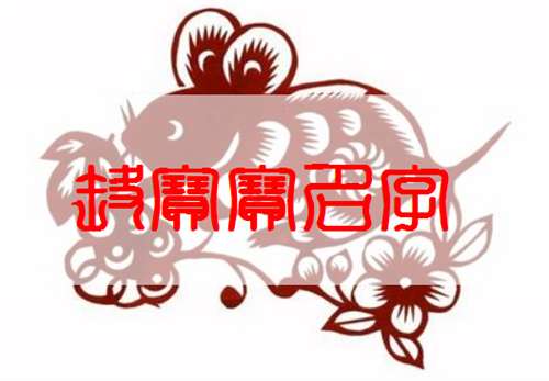 300個鼠寶寶洋氣的名字大全:男孩篇