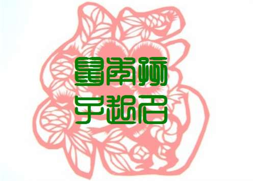 屬鼠寶寶起名大全