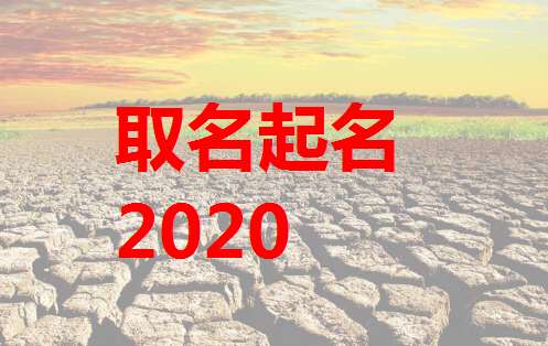 屬鼠寶寶起名大全