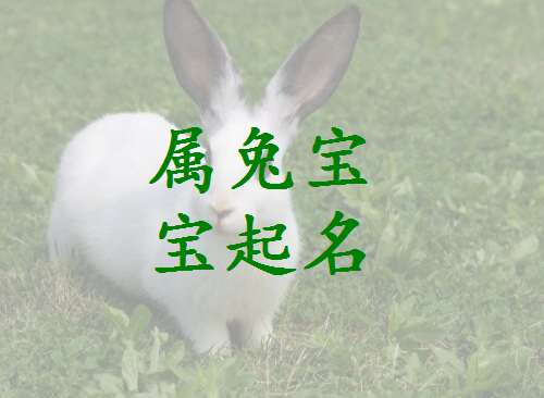 屬兔寶寶起名大全