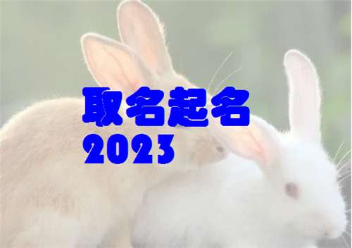屬兔向姓寶寶起名大全