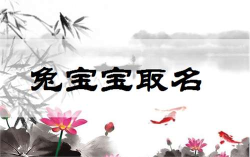 屬兔姓黃寶寶起名大全