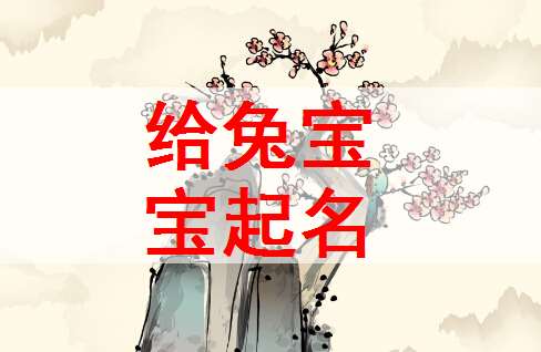 屬兔姓董寶寶起名大全