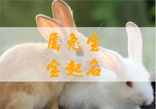 屬兔寶寶起名大全