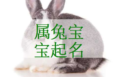 屬兔羅姓寶寶起名大全