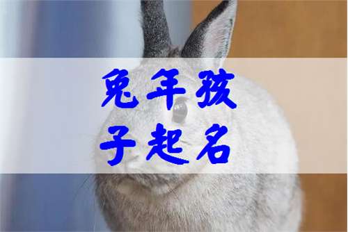 屬兔寶寶起名大全