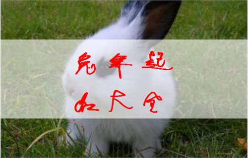 屬兔姓鄧寶寶起名大全