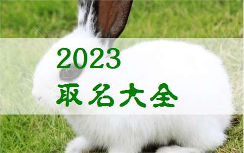 屬兔胡姓寶寶起名大全
