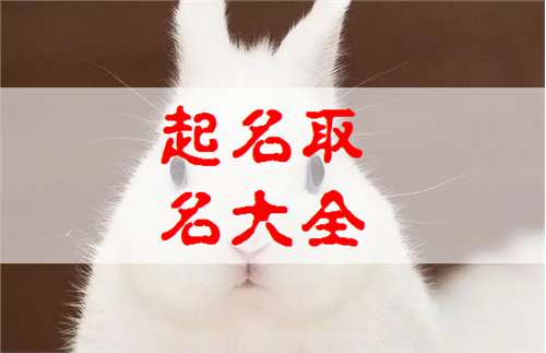 屬兔周姓寶寶起名大全